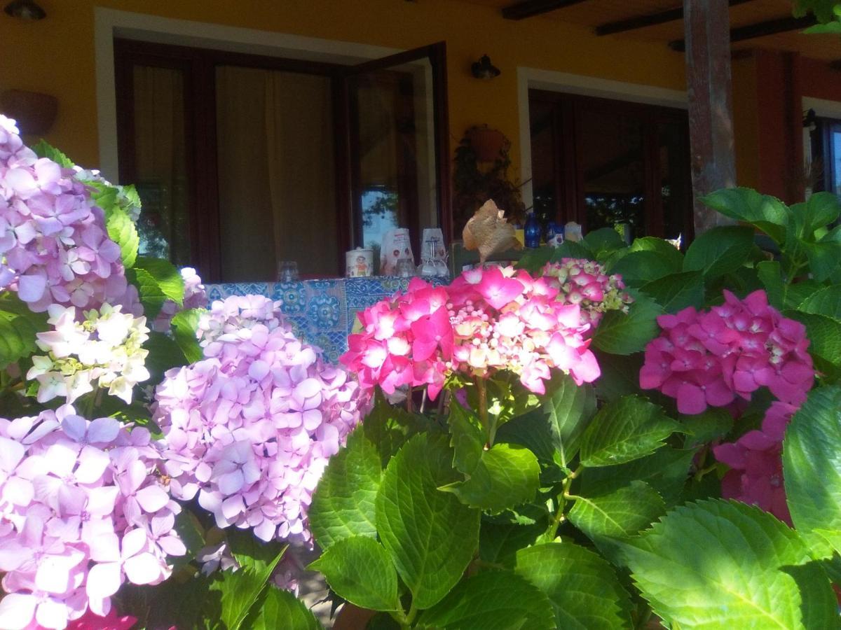 B&B Casa Per Ferie Villaggiocarovana Кастиадас Екстериор снимка