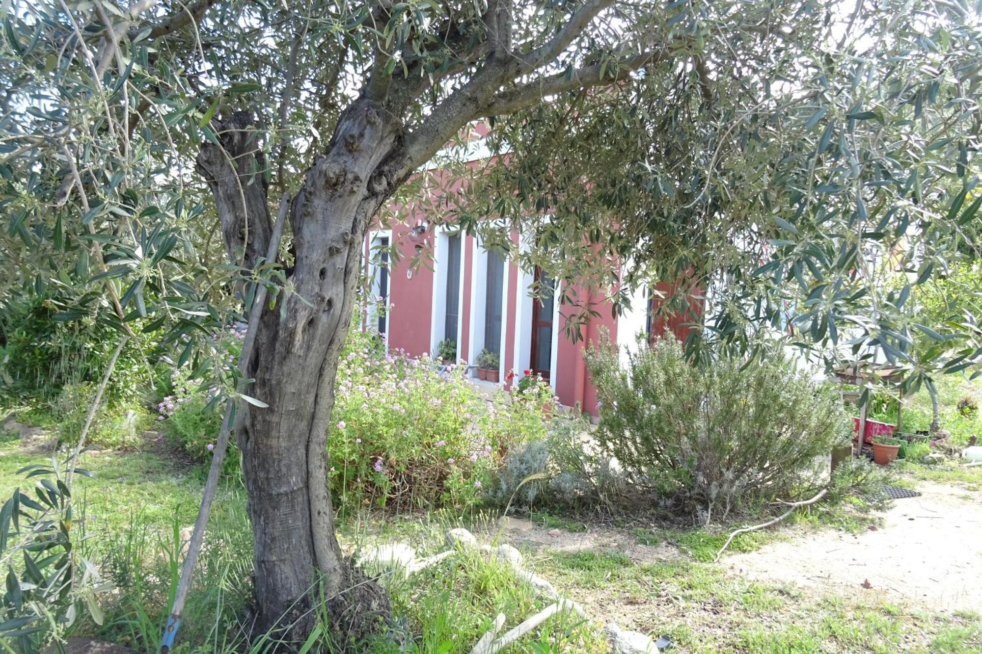 B&B Casa Per Ferie Villaggiocarovana Кастиадас Екстериор снимка